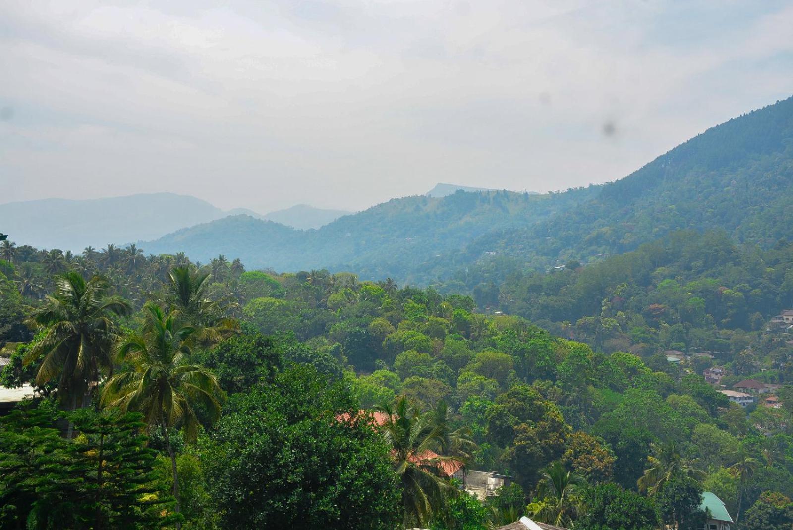 Mountain View Apartment Kandy Bagian luar foto